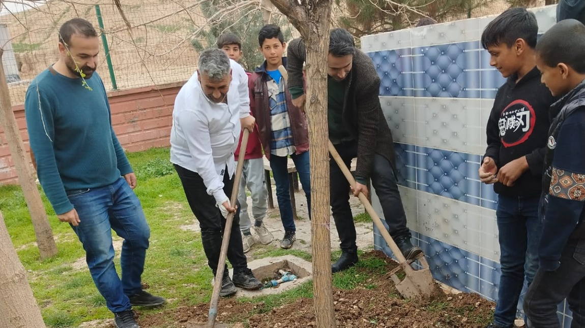 Okul aile birliği başkanımız Mustafa AKKAN'ın yardımlarıyla gerçekleştirdiğimiz okulumuzu ağaç dikerek yeşillendirme çalışmalarımızı gerçekleştirdik.
