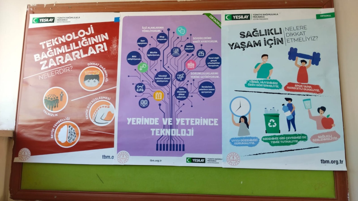 Yeşilay Kulübü Pano Çalışması