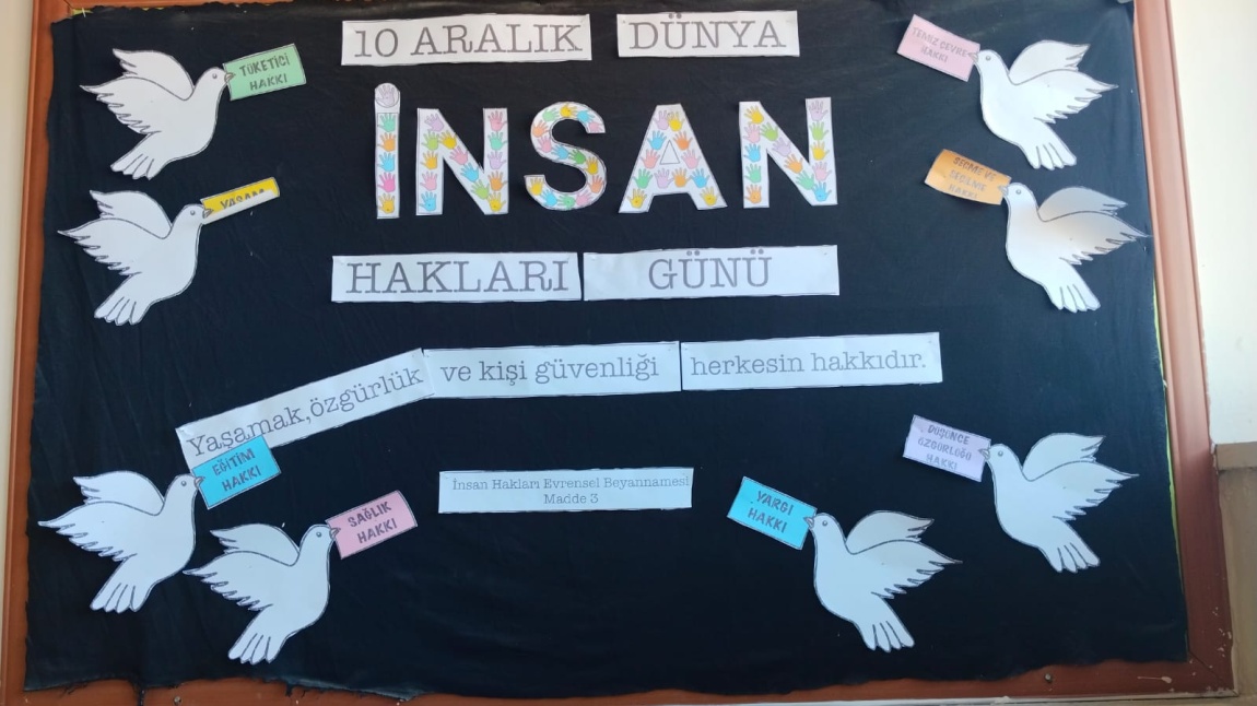 İnsan Hakları Günü Panosu